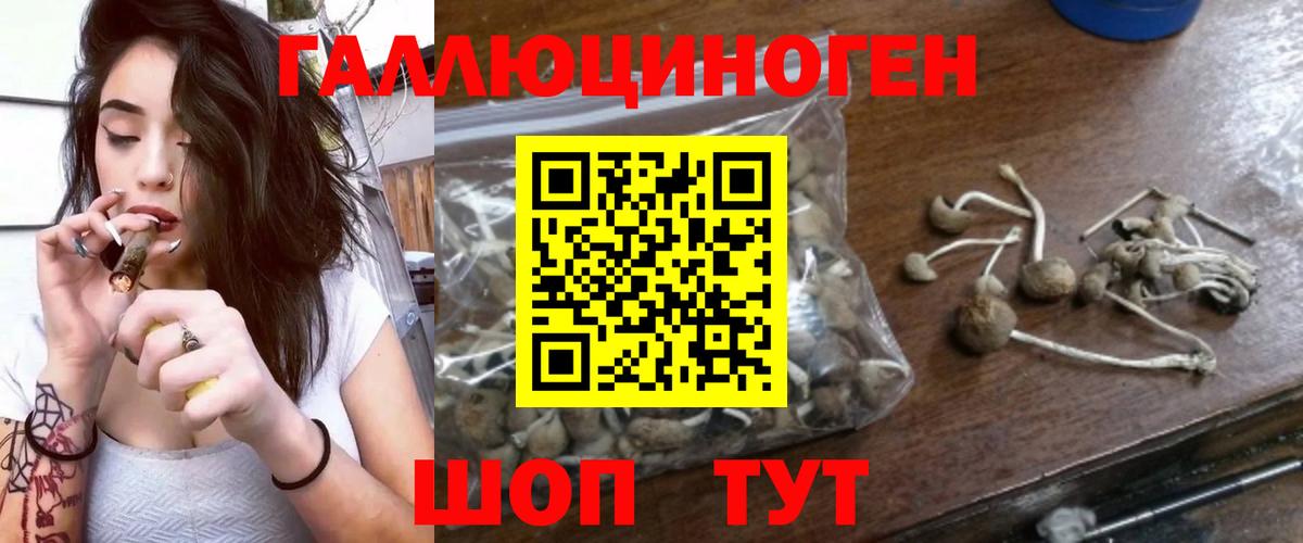 Грозный  Псилоцибиновые грибы GOLDEN TEACHER  Вход с VPN  Псилоцибиновые грибы ЛСД 