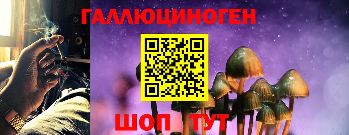 Грозный  NBOMe  Каннабис  МЕФ кристаллы  МДМА  Гашиш  Вход с VPN  КОКАИН  Магазины продажи наркотиков 
